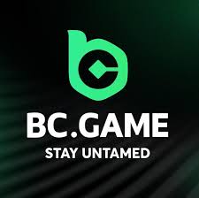 Exploring BC.Game DK Casino A Gamer’s Paradise